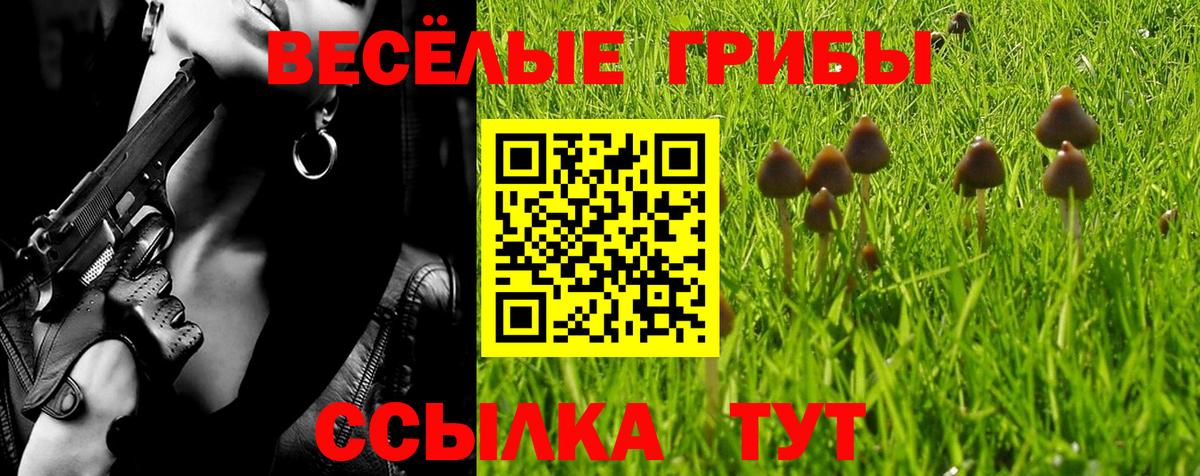 Галлюциногенные грибы мухоморы  Вход с VPN  продажа наркотиков  Псилоцибиновые грибы ЛСД  Губаха 