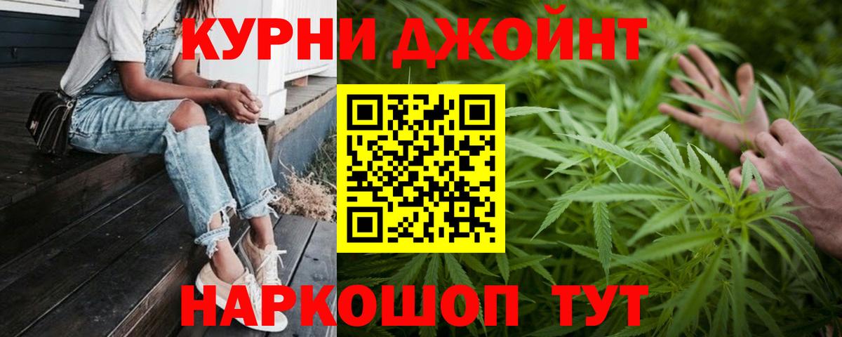 Бошки Шишки MAZAR Губаха